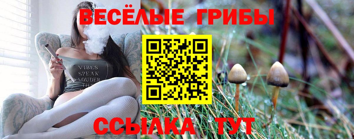 Галлюциногенные грибы Psilocybine cubensis  Вход с VPN  Галлюциногенные грибы Cubensis  Дюртюли 